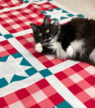 Load image into Gallery viewer, Plaid Flag Solid Quilt Kit by Sewcial Stitch 6 size options-Teal Blue
