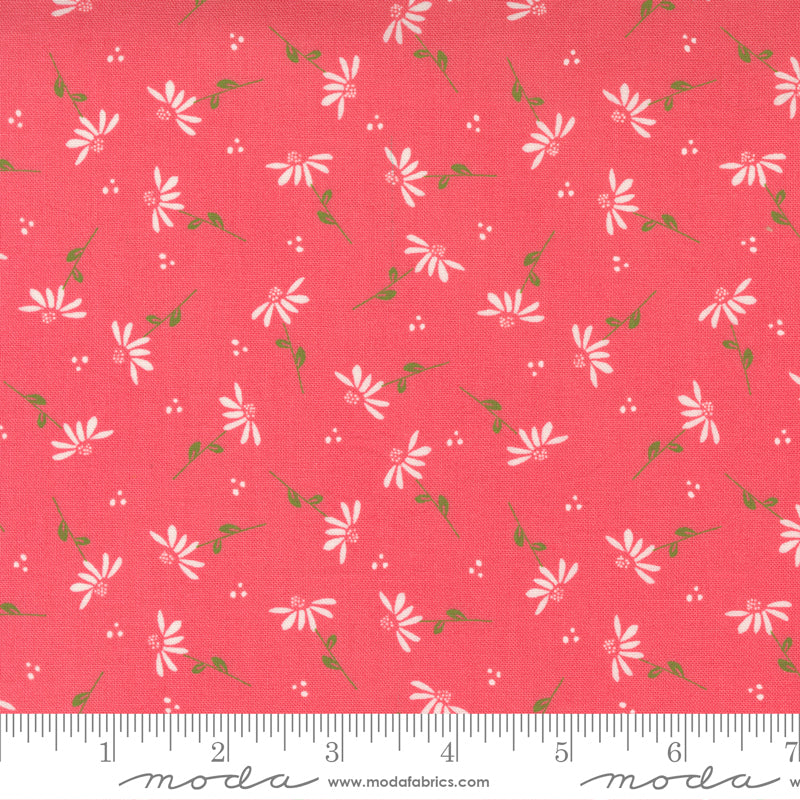 Sincerely Yours Dainty Daisy Flamingo Fabric by Sherri and Chelsi for Moda