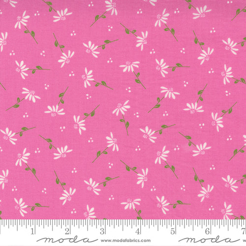 Sincerely Yours Dainty Daisy Petunia Fabric by Sherri and Chelsi for Moda