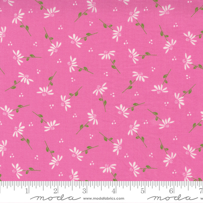 Sincerely Yours Dainty Daisy Petunia Fabric by Sherri and Chelsi for Moda