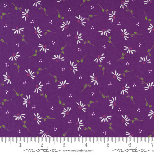 Sincerely Yours Dainty Daisy Purple Fabric by Sherri and Chelsi for Moda