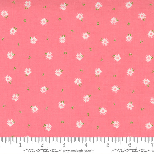Sincerely Yours Ditsy Flower Flamingo Fabric by Sherri and Chelsi for Moda