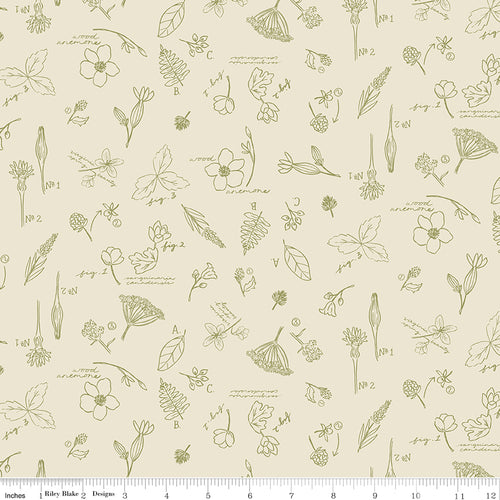 Wildwood Wander Cream Floral Fabric by Riley Blake Designs