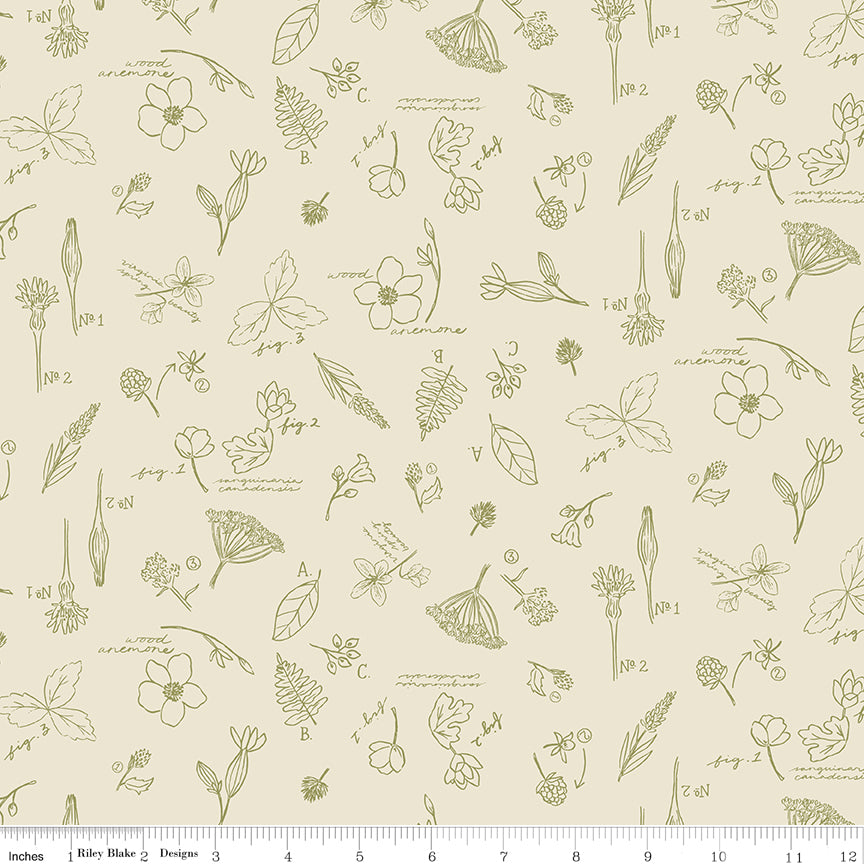 Wildwood Wander Cream Floral Fabric by Riley Blake Designs