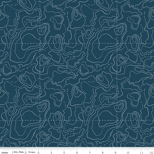 Wildwood Wander Navy Blue Fabric by Riley Blake Designs