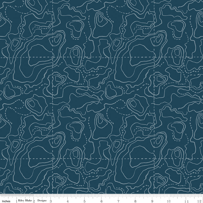 Wildwood Wander Navy Blue Fabric by Riley Blake Designs