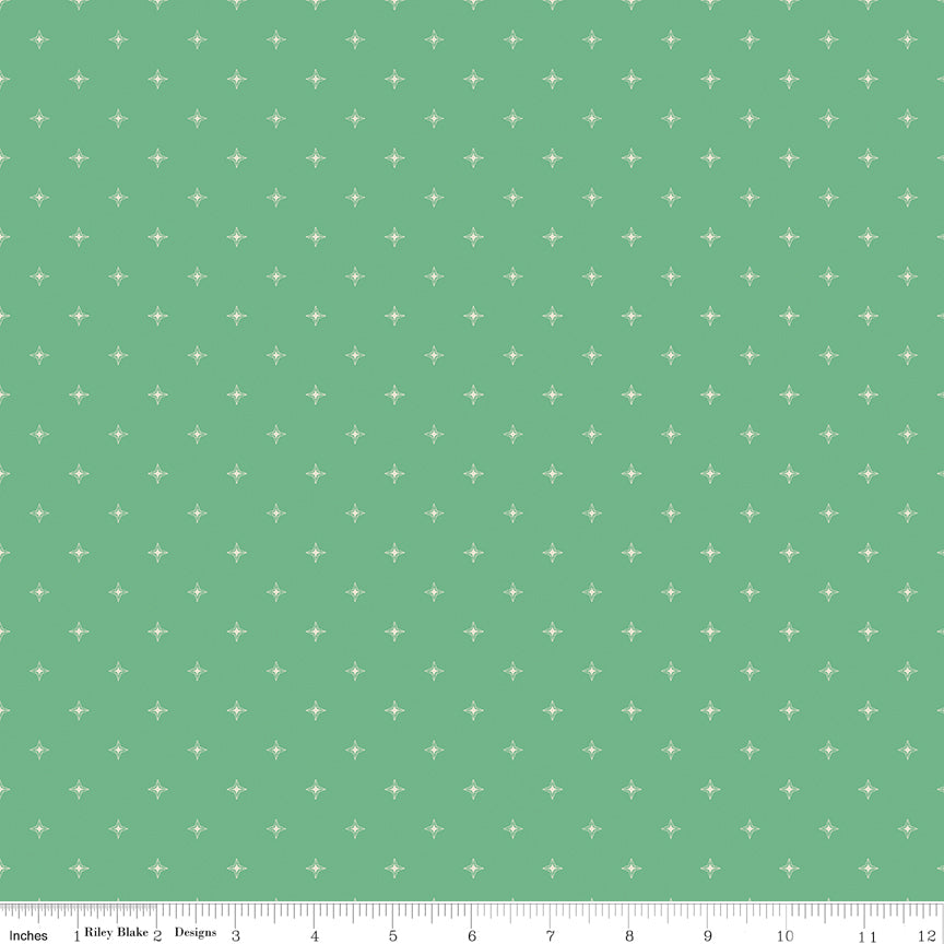 Wildwood Wander Aqua Green Fabric by Riley Blake Designs