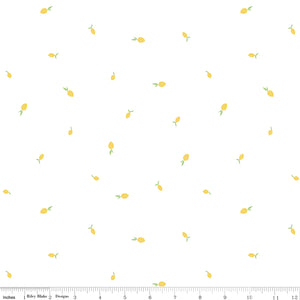 Hush Hush 3 Lemon Zest Low Volume Fabric by Riley Blake Designs