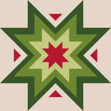 Load image into Gallery viewer, Expanding Star Quilt Kit-Throw Size