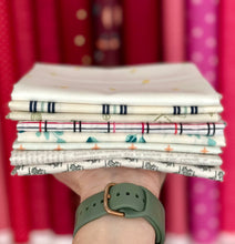 Load image into Gallery viewer, Seaglass Summer Low Volume Fat Quarter Destash Bundle-8 FQ&#39;s