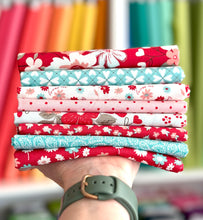 Load image into Gallery viewer, You and Me Red Pink and Aqua Half Yard Bundle by Riley Blake Designs