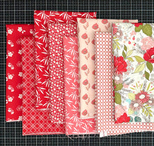 Load image into Gallery viewer, Feed My Soul Red Fat Quarter Bundle by Sandy Gervais for Riley Blake Designs
