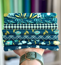 Load image into Gallery viewer, Feed My Soul Navy Blue Fat Quarter Bundle by Sandy Gervais for Riley Blake Designs
