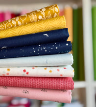 Load image into Gallery viewer, Between The Pages Fat Quarter, Half Yard or One Yard Bundle by Sewcial Stitch