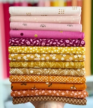 Load image into Gallery viewer, Horizon Fat Quarter Bundle by Sewcial Stitch