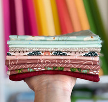 Load image into Gallery viewer, DESTASH Fat Quarter Bundle #3