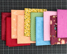 Load image into Gallery viewer, DESTASH Fat Quarter Bundle #11