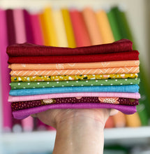 Load image into Gallery viewer, DESTASH Fat Quarter Bundle #11