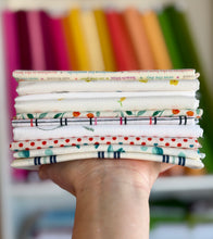 Load image into Gallery viewer, DESTASH Fat Quarter Bundle #12