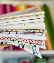 Load image into Gallery viewer, DESTASH Fat Quarter Bundle #12