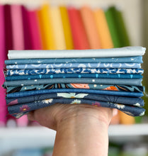 Load image into Gallery viewer, DESTASH Fat Quarter Bundle #13