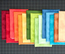 Load image into Gallery viewer, Shabby Fat Quarter Bundle by Lori Holt for Riley Blake Designs