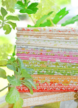 Load image into Gallery viewer, Summer's End 5" Charm Pack by Fig Tree and Co for Moda Fabrics