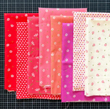 Load image into Gallery viewer, DESTASH Fat Quarter Bundle #5