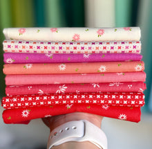 Load image into Gallery viewer, DESTASH Fat Quarter Bundle #5