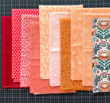 Load image into Gallery viewer, DESTASH Fat Quarter Bundle #11