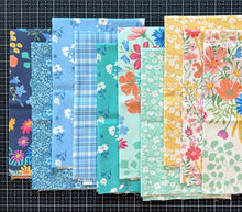 Load image into Gallery viewer, DESTASH Fat Quarter Bundle #12