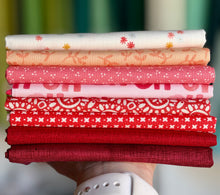 Load image into Gallery viewer, DESTASH Fat Quarter Bundle #14
