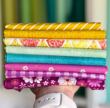 Load image into Gallery viewer, DESTASH Fat Quarter Bundle #15
