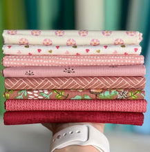 Load image into Gallery viewer, DESTASH Fat Quarter Bundle #20