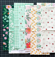 Load image into Gallery viewer, DESTASH Fat Quarter Bundle #19
