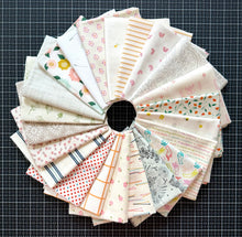 Load image into Gallery viewer, DESTASH Fat Quarter Bundle #17