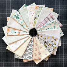 Load image into Gallery viewer, DESTASH Fat Quarter Bundle #18