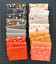 Load image into Gallery viewer, Birch and Willow 20 Piece Half Yard Bundle by Sherri and Chelsi for Moda Fabrics