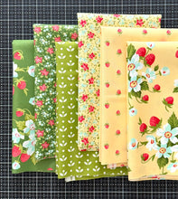 Load image into Gallery viewer, Bloomsberry 20 Piece Half Yard Bundle by Camille Roskelley for Moda Fabrics