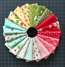 Load image into Gallery viewer, Bloomsberry 20 Piece Half Yard Bundle by Camille Roskelley for Moda Fabrics