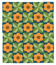 Load image into Gallery viewer, Lullaby Garden Modern Quilt Kit Modern Charm Stitchery Baby and Throw Options-Colonial