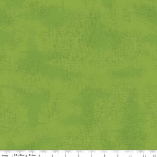 Shabby Turtle Green Fabric by Riley Blake Designs