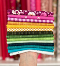 Load image into Gallery viewer, Skittles Fat Quarter Bundle by Sewcial Stitch