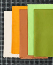 Load image into Gallery viewer, Lullaby Garden Modern Quilt Kit Modern Charm Stitchery Baby and Throw Options-Latte