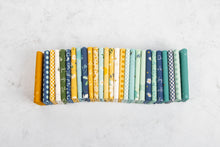 Load image into Gallery viewer, Daisy Fields Fat Quarter Bundle by Beverly McCullough for Riley Blake Designs