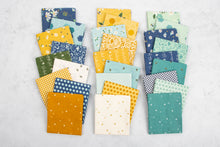 Load image into Gallery viewer, Daisy Fields Fat Quarter Bundle by Beverly McCullough for Riley Blake Designs
