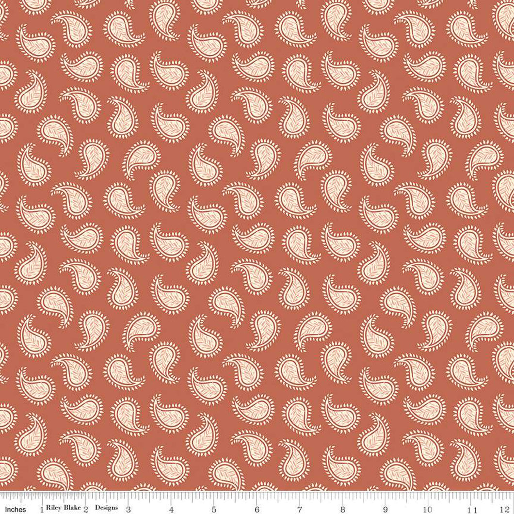 Elegance Rose Pink Paisley Fabric by Corinne Wells for Riley Blake Designs