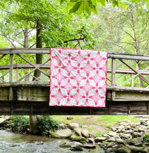 Load image into Gallery viewer, Lunch With Cate Sparkler Gold Metallic Pink Quilt Kit by Sewcial Stitch 4 size options