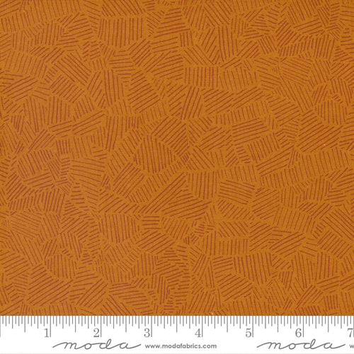 Meander Rust Field Fabric by Aneela Hoey for Moda Fabrics