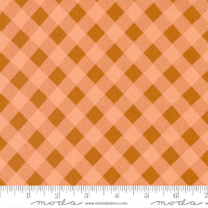 Meander Rust Picnic Check Fabric by Aneela Hoey for Moda Fabrics